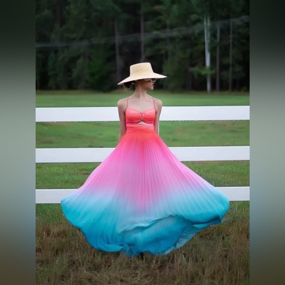 NWT | AMUR | Emmett Pleated Cut Out Maxi Dress in Ombré Sunset | Sz 6 - Picture 7 of 13